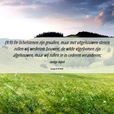 Picture 06 - Jesaja 9:10 NLD - (9:9) De tichelstenen zijn gevallen, maar met - Bible Verse Picture