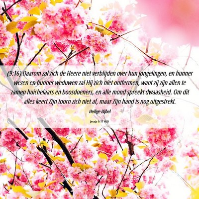 Picture 06 - Jesaja 9:17 NLD - (9:16) Daarom zal zich de Heere niet verblijden - Bible Verse Picture