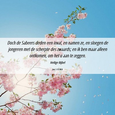 Picture 06 - Job 1:15 NLD - Doch de Sabeers deden een inval, en namen ze, en - Bible Verse Picture