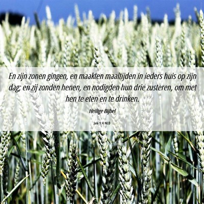Picture 06 - Job 1:4 NLD - En zijn zonen gingen, en maakten maaltijden in - Bible Verse Picture
