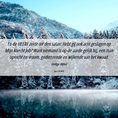 Picture 06 - Job 1:8 NLD - En de HEERE zeide tot den satan: Hebt gij ook - Bible Verse Picture