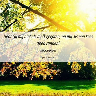 Picture 06 - Job 10:10 NLD - Hebt Gij mij niet als melk gegoten, en mij als - Bible Verse Picture