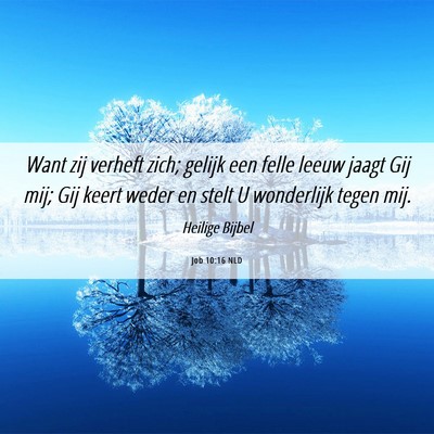 Picture 06 - Job 10:16 NLD - Want zij verheft zich; gelijk een felle leeuw - Bible Verse Picture