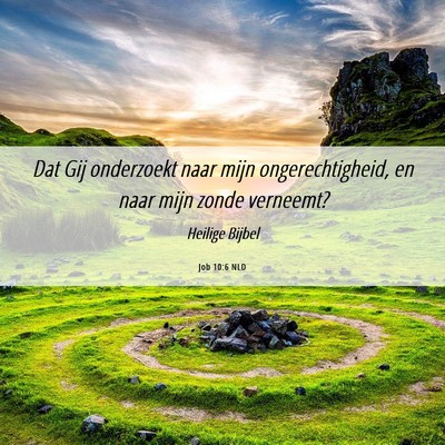 Picture 06 - Job 10:6 NLD - Dat Gij onderzoekt naar mijn ongerechtigheid, en - Bible Verse Picture