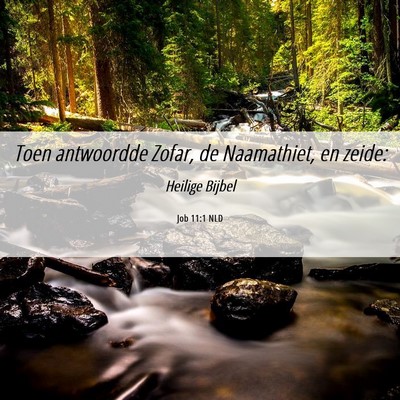 Picture 06 - Job 11:1 NLD - Toen antwoordde Zofar, de Naamathiet, en - Bible Verse Picture