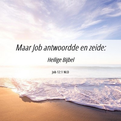 Picture 06 - Job 12:1 NLD - Maar Job antwoordde en - Bible Verse Picture