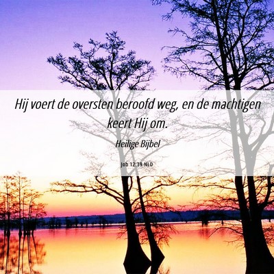 Picture 06 - Job 12:19 NLD - Hij voert de oversten beroofd weg, en de - Bible Verse Picture