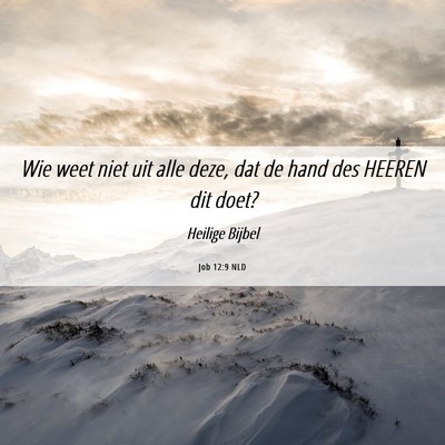 Picture 06 - Job 12:9 NLD - Wie weet niet uit alle deze, dat de hand des - Bible Verse Picture