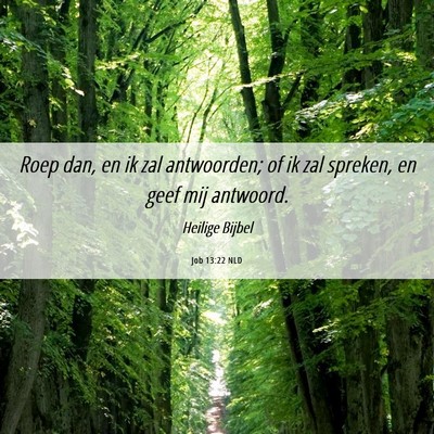 Picture 06 - Job 13:22 NLD - Roep dan, en ik zal antwoorden; of ik zal - Bible Verse Picture