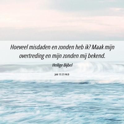 Picture 06 - Job 13:23 NLD - Hoeveel misdaden en zonden heb ik? Maak mijn - Bible Verse Picture