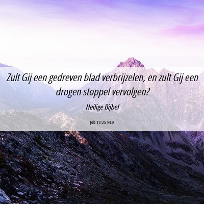 Picture 06 - Job 13:25 NLD - Zult Gij een gedreven blad verbrijzelen, en zult - Bible Verse Picture