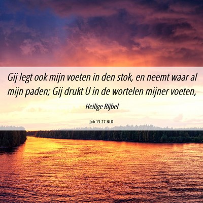 Picture 06 - Job 13:27 NLD - Gij legt ook mijn voeten in den stok, en neemt - Bible Verse Picture