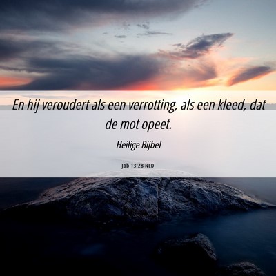 Picture 06 - Job 13:28 NLD - En hij veroudert als een verrotting, als een - Bible Verse Picture