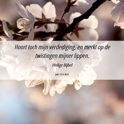 Picture 06 - Job 13:6 NLD - Hoort toch mijn verdediging, en merkt op de - Bible Verse Picture