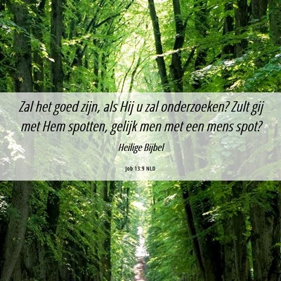 Picture 06 - Job 13:9 NLD - Zal het goed zijn, als Hij u zal onderzoeken? - Bible Verse Picture