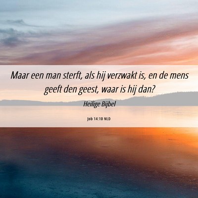 Picture 06 - Job 14:10 NLD - Maar een man sterft, als hij verzwakt is, en de - Bible Verse Picture