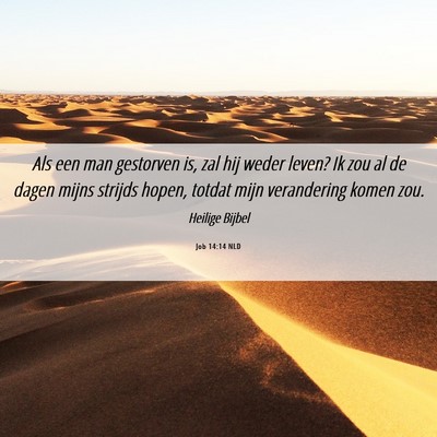 Picture 06 - Job 14:14 NLD - Als een man gestorven is, zal hij weder leven? Ik - Bible Verse Picture