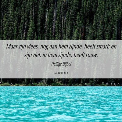 Picture 06 - Job 14:22 NLD - Maar zijn vlees, nog aan hem zijnde, heeft smart; - Bible Verse Picture