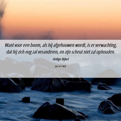Picture 06 - Job 14:7 NLD - Want voor een boom, als hij afgehouwen wordt, is - Bible Verse Picture