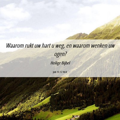 Picture 06 - Job 15:12 NLD - Waarom rukt uw hart u weg, en waarom wenken uw - Bible Verse Picture