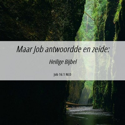 Picture 06 - Job 16:1 NLD - Maar Job antwoordde en - Bible Verse Picture