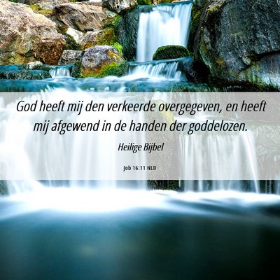 Picture 06 - Job 16:11 NLD - God heeft mij den verkeerde overgegeven, en heeft - Bible Verse Picture