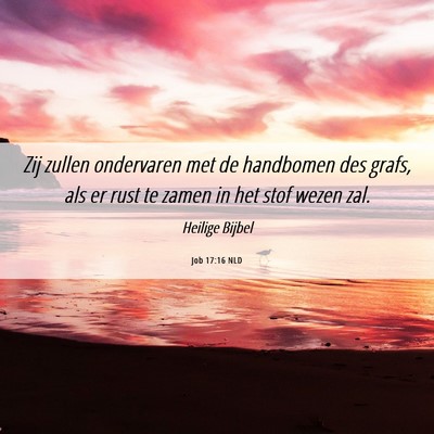 Picture 06 - Job 17:16 NLD - Zij zullen ondervaren met de handbomen des grafs, - Bible Verse Picture