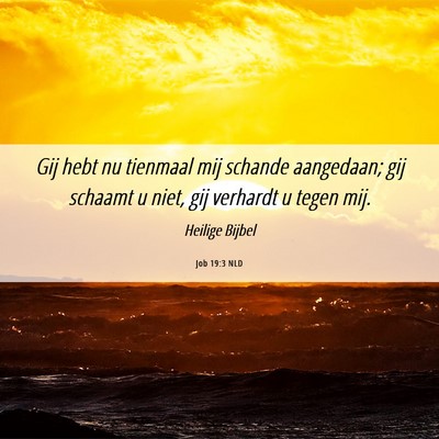 Picture 06 - Job 19:3 NLD - Gij hebt nu tienmaal mij schande aangedaan; gij - Bible Verse Picture