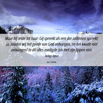 Picture 06 - Job 2:10 NLD - Maar hij zeide tot haar: Gij spreekt als een der - Bible Verse Picture