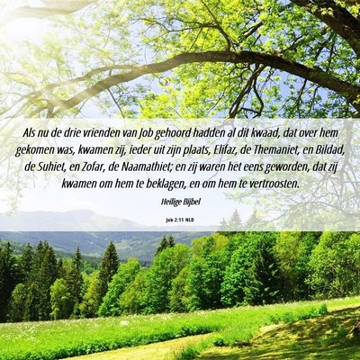 Picture 06 - Job 2:11 NLD - Als nu de drie vrienden van Job gehoord hadden al - Bible Verse Picture