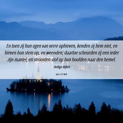 Picture 06 - Job 2:12 NLD - En toen zij hun ogen van verre ophieven, kenden - Bible Verse Picture