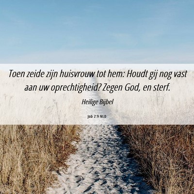 Picture 06 - Job 2:9 NLD - Toen zeide zijn huisvrouw tot hem: Houdt gij nog - Bible Verse Picture