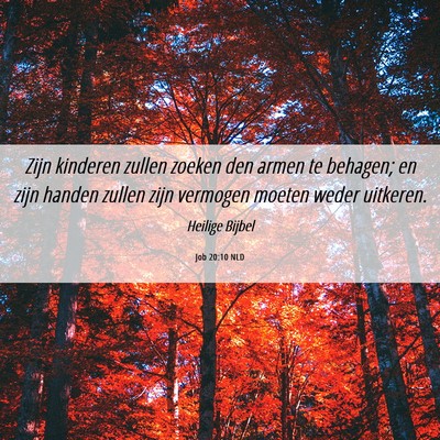 Picture 06 - Job 20:10 NLD - Zijn kinderen zullen zoeken den armen te behagen; - Bible Verse Picture