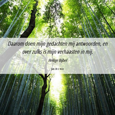 Picture 06 - Job 20:2 NLD - Daarom doen mijn gedachten mij antwoorden, en - Bible Verse Picture
