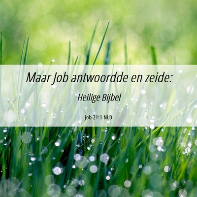 Picture 06 - Job 21:1 NLD - Maar Job antwoordde en - Bible Verse Picture