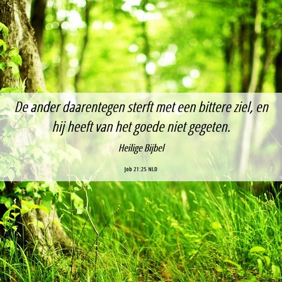 Picture 06 - Job 21:25 NLD - De ander daarentegen sterft met een bittere ziel, - Bible Verse Picture