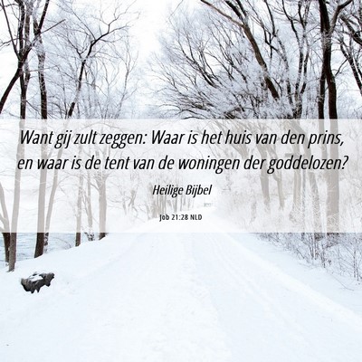 Picture 06 - Job 21:28 NLD - Want gij zult zeggen: Waar is het huis van den - Bible Verse Picture