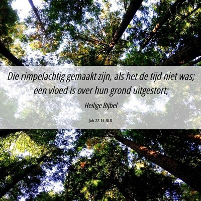 Picture 06 - Job 22:16 NLD - Die rimpelachtig gemaakt zijn, als het de tijd - Bible Verse Picture