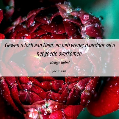 Picture 06 - Job 22:21 NLD - Gewen u toch aan Hem, en heb vrede; daardoor zal - Bible Verse Picture