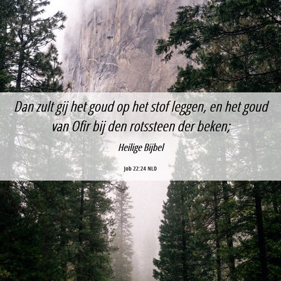 Picture 06 - Job 22:24 NLD - Dan zult gij het goud op het stof leggen, en het - Bible Verse Picture