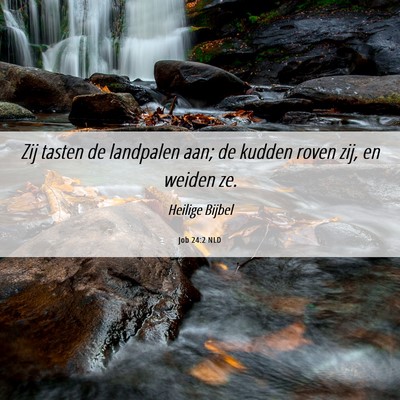 Picture 06 - Job 24:2 NLD - Zij tasten de landpalen aan; de kudden roven zij, - Bible Verse Picture