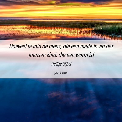 Picture 06 - Job 25:6 NLD - Hoeveel te min de mens, die een made is, en des - Bible Verse Picture