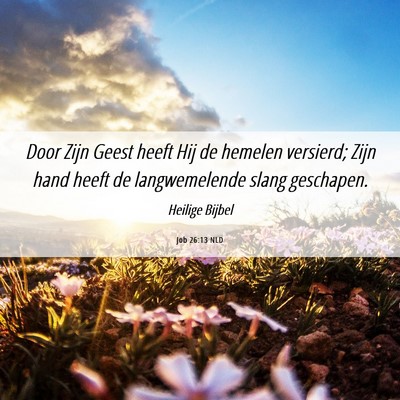 Picture 06 - Job 26:13 NLD - Door Zijn Geest heeft Hij de hemelen versierd; - Bible Verse Picture