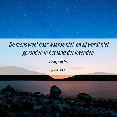 Picture 06 - Job 28:13 NLD - De mens weet haar waarde niet, en zij wordt niet - Bible Verse Picture