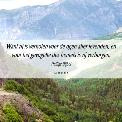 Picture 06 - Job 28:21 NLD - Want zij is verholen voor de ogen aller levenden, - Bible Verse Picture