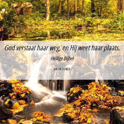 Picture 06 - Job 28:23 NLD - God verstaat haar weg, en Hij weet haar - Bible Verse Picture