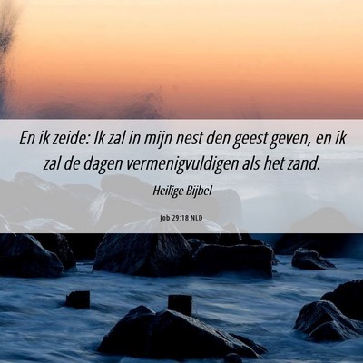 Picture 06 - Job 29:18 NLD - En ik zeide: Ik zal in mijn nest den geest geven, - Bible Verse Picture