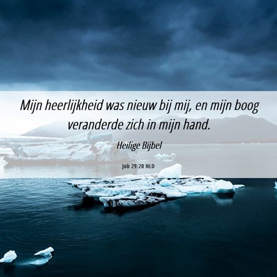 Picture 06 - Job 29:20 NLD - Mijn heerlijkheid was nieuw bij mij, en mijn boog - Bible Verse Picture