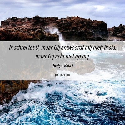 Picture 06 - Job 30:20 NLD - Ik schrei tot U, maar Gij antwoordt mij niet; ik - Bible Verse Picture