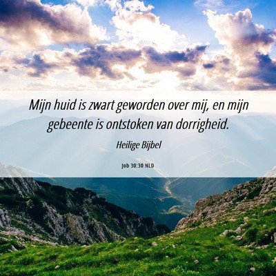 Picture 06 - Job 30:30 NLD - Mijn huid is zwart geworden over mij, en mijn - Bible Verse Picture